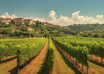 Frascati Wine Road from Rome: Tasting & Lunch